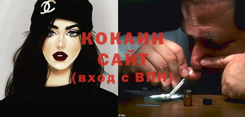 где купить наркоту  Петровск-Забайкальский  Cocaine Fish Scale 